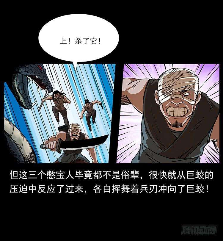 43.jpg