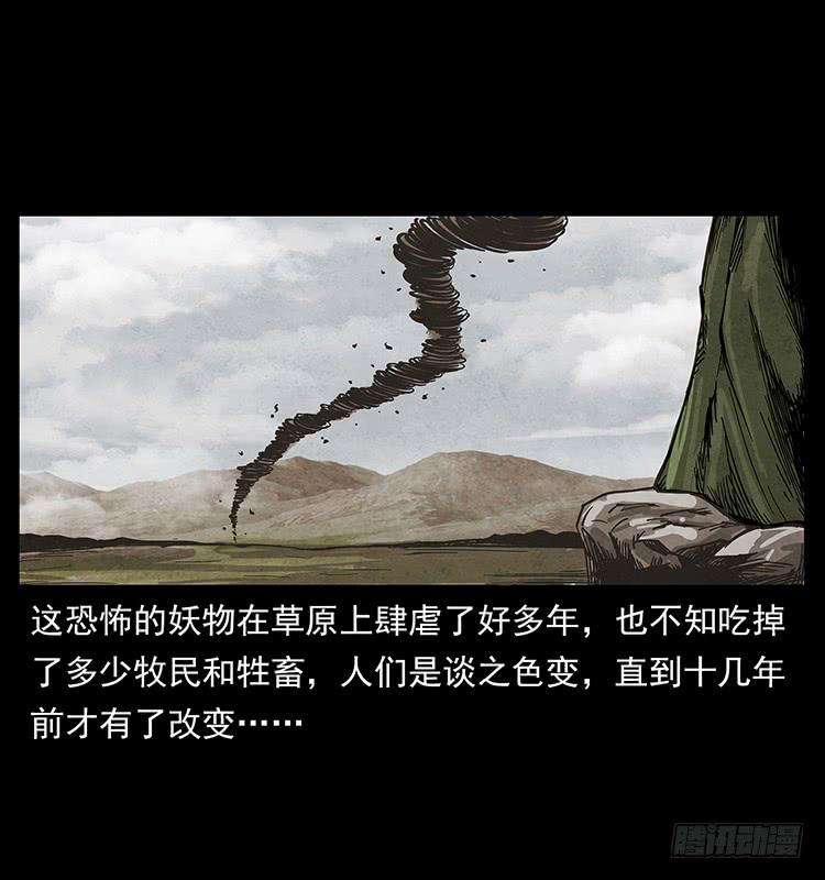 48.jpg