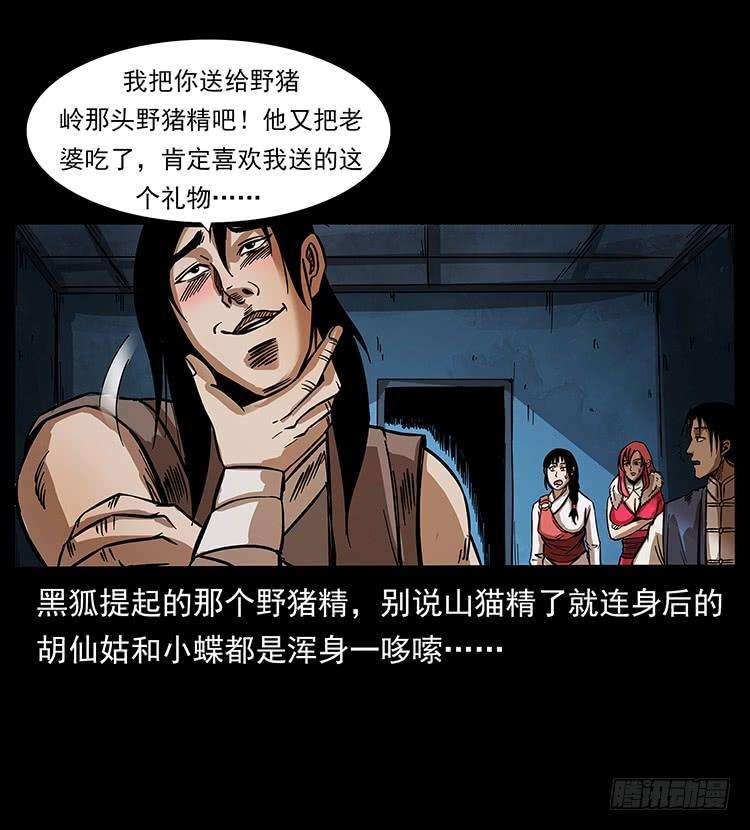 50.jpg