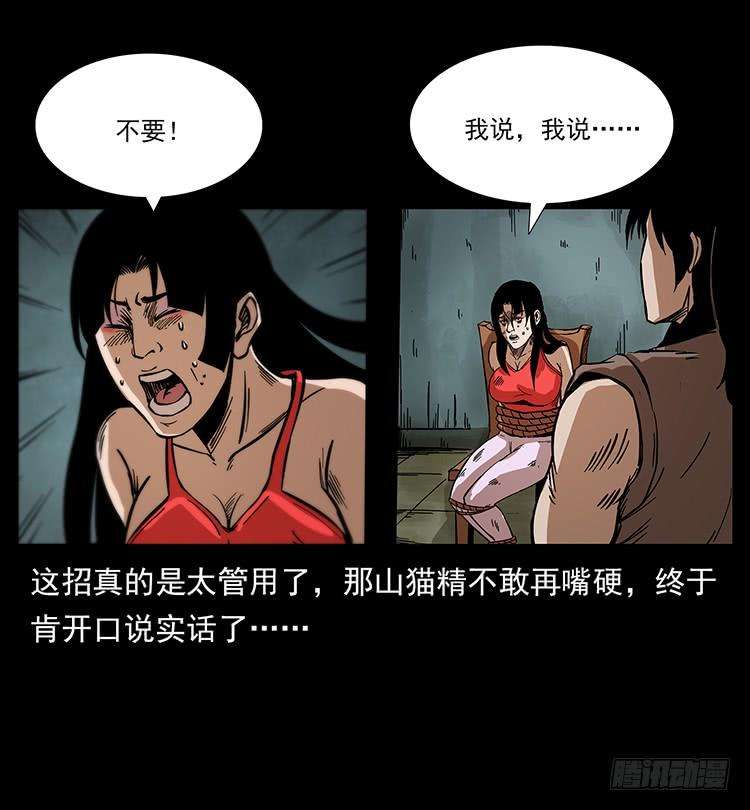53.jpg