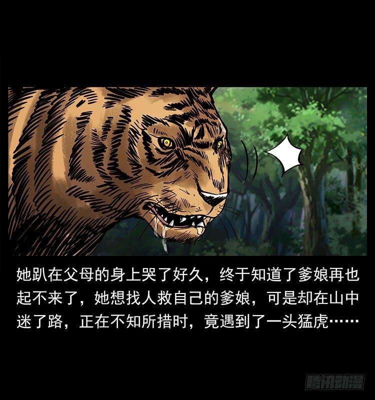 51.jpg