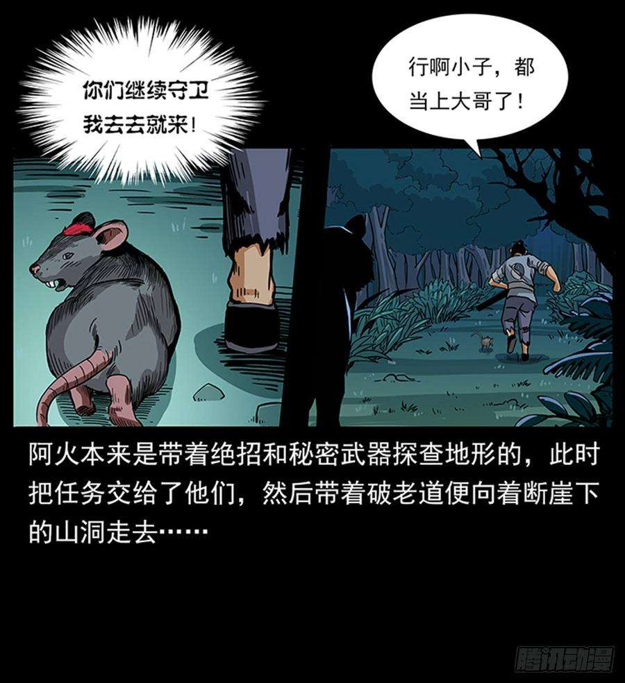 13.jpg