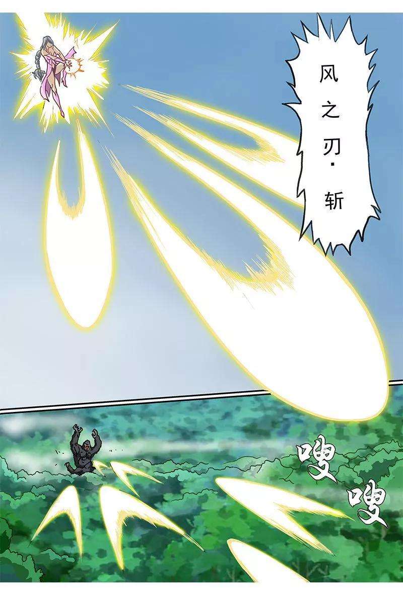 19.jpg
