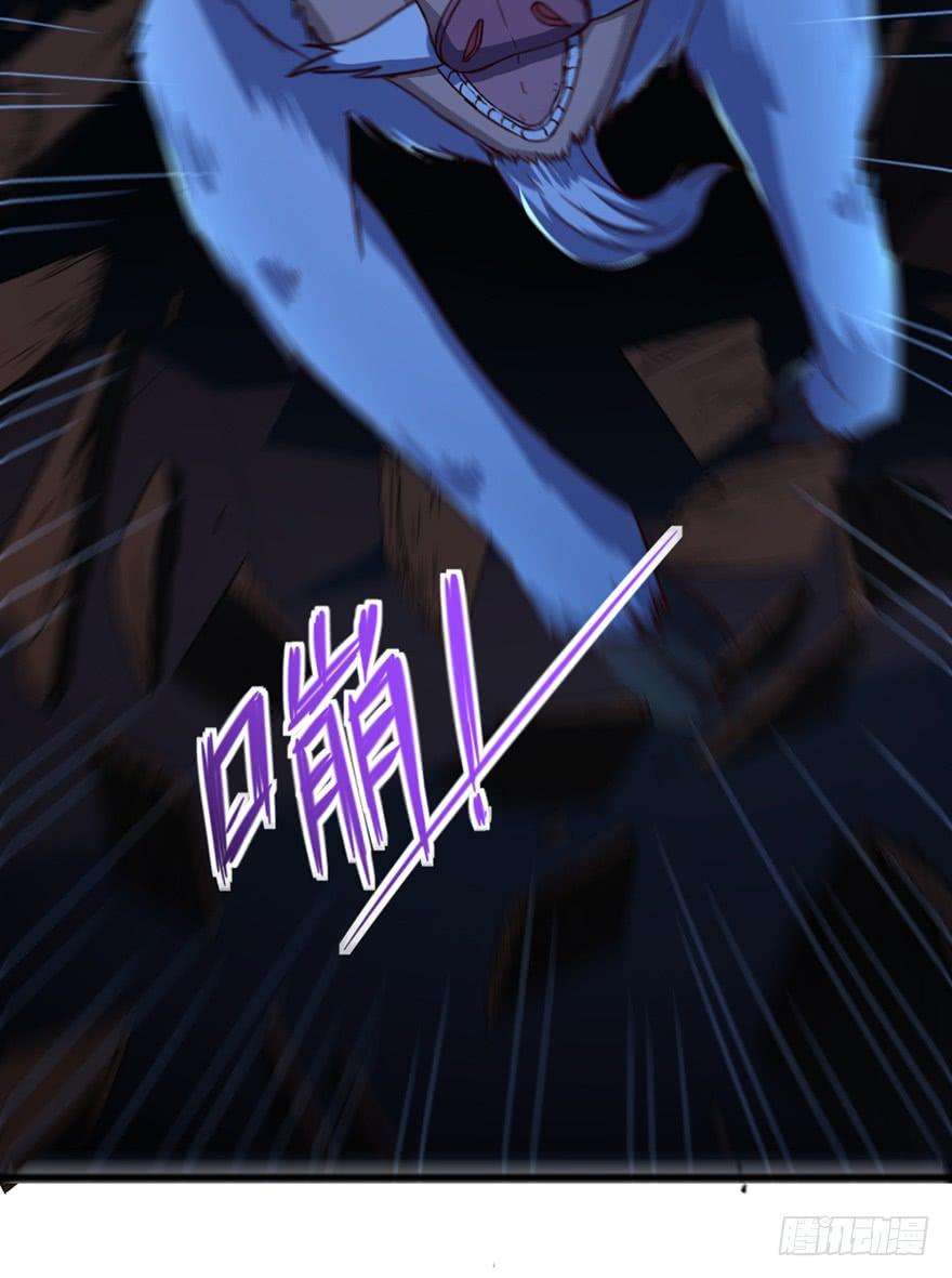 31.jpg