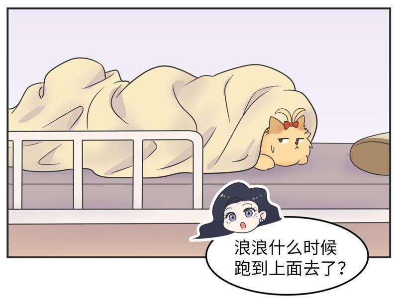 55.jpg
