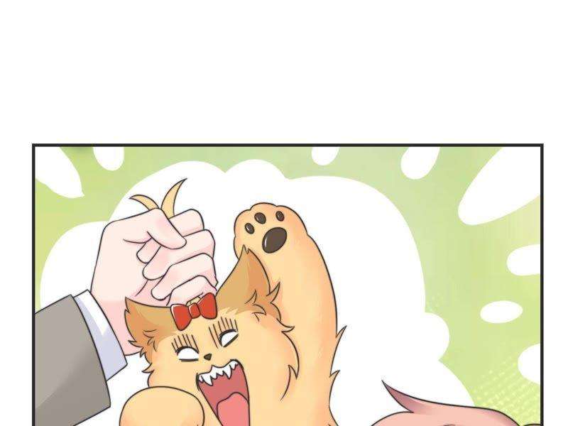 67.jpg