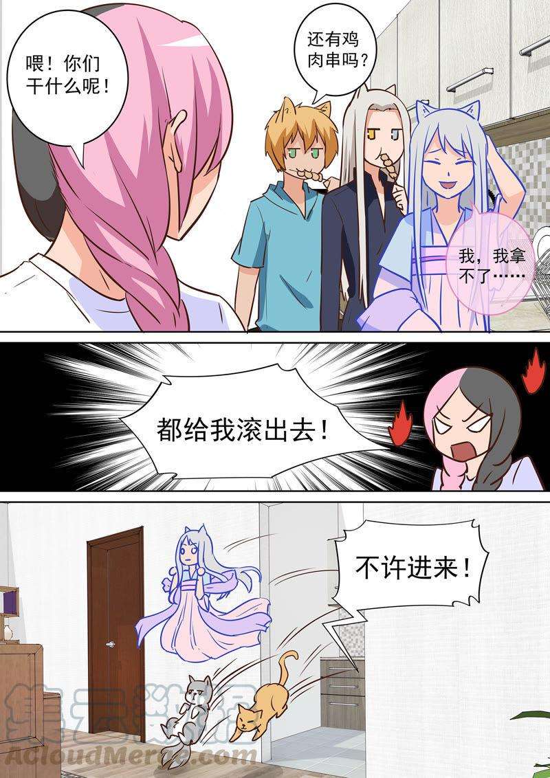 11.jpg