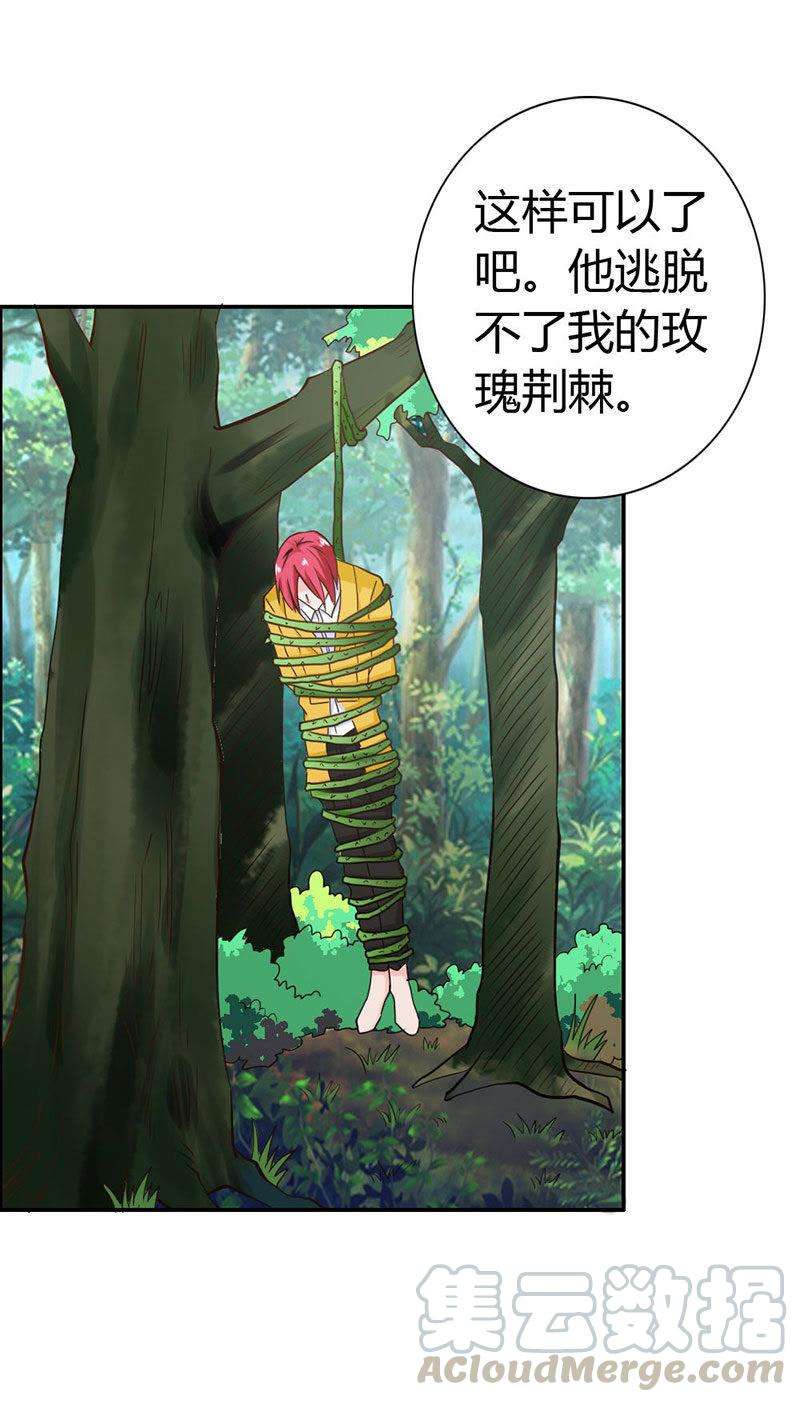 21.jpg