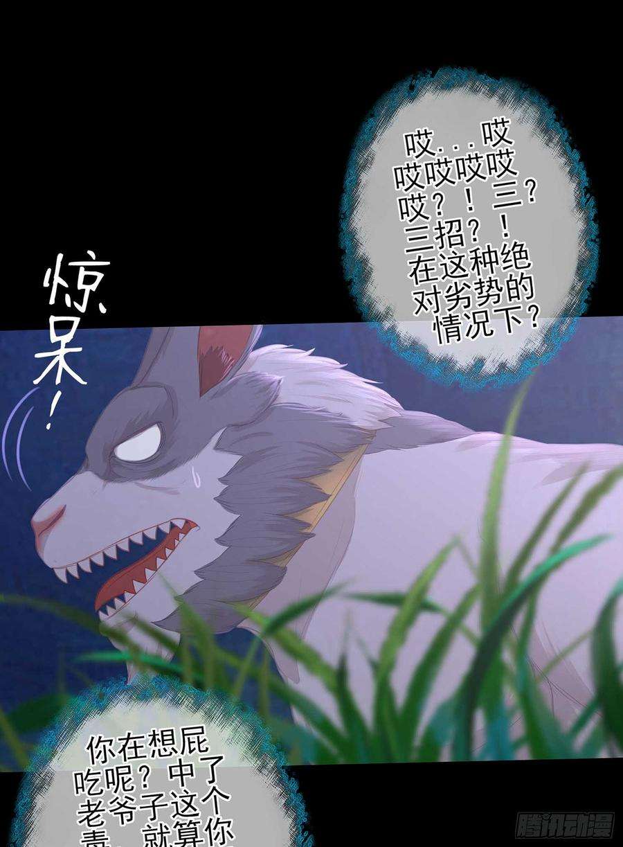 35.jpg