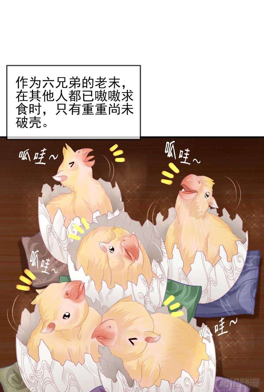 5.jpg