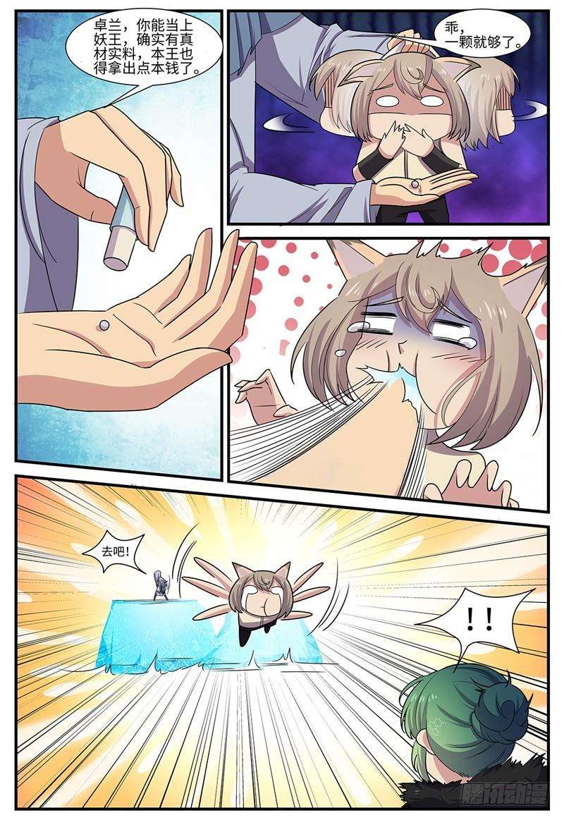 8.jpg