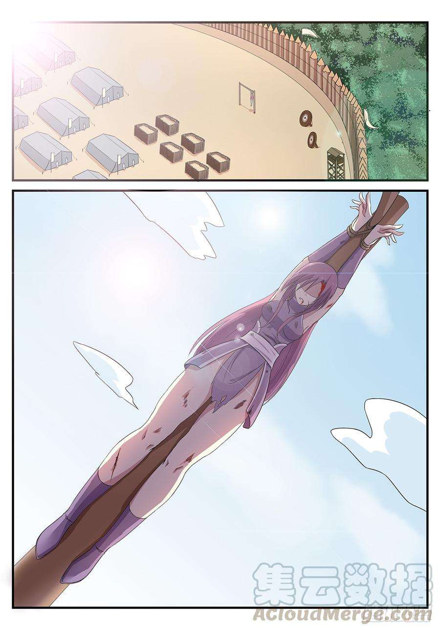 11.jpg