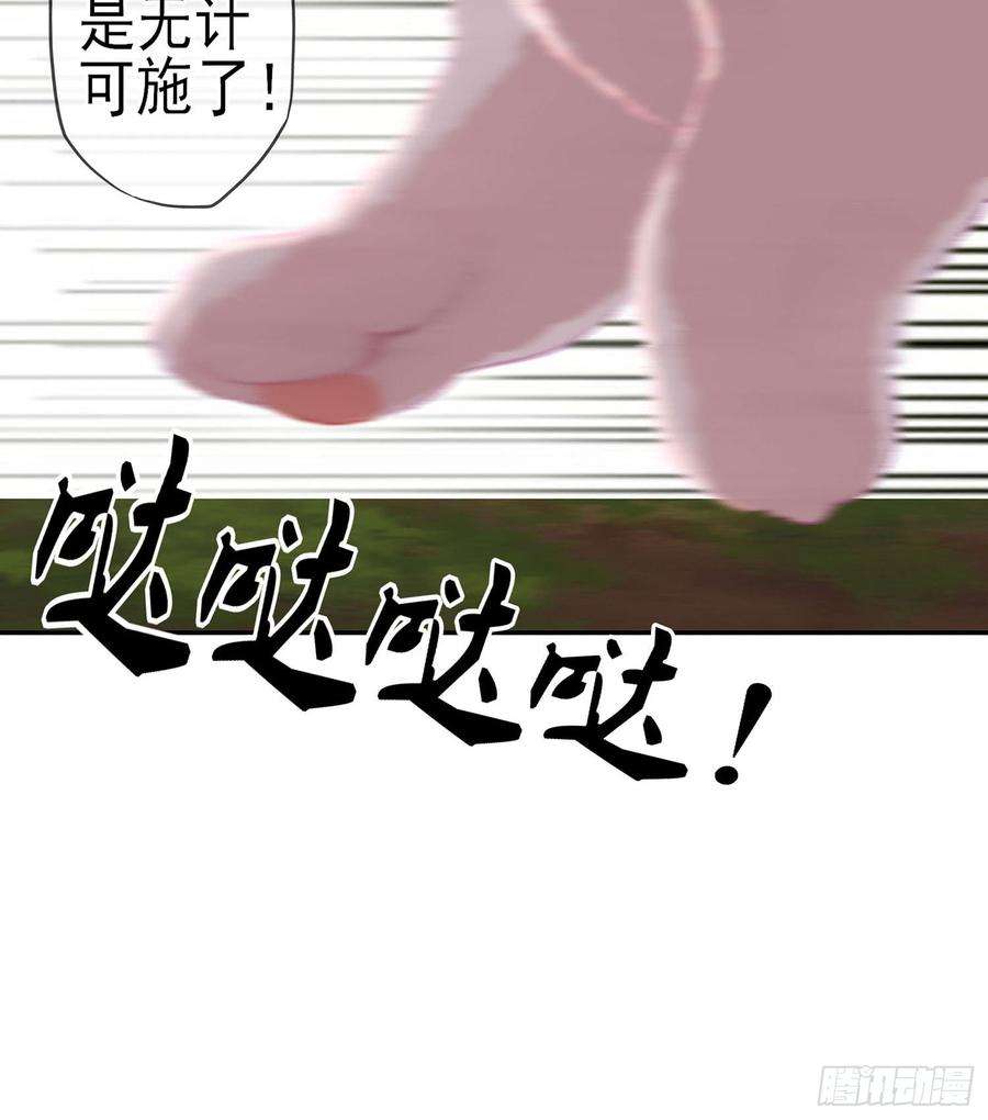 33.jpg