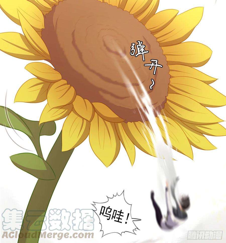 41.jpg