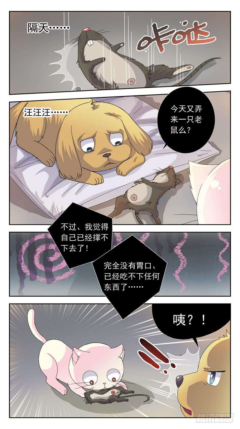 7.jpg