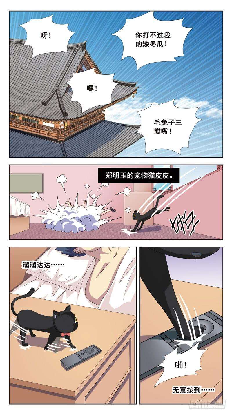 9.jpg