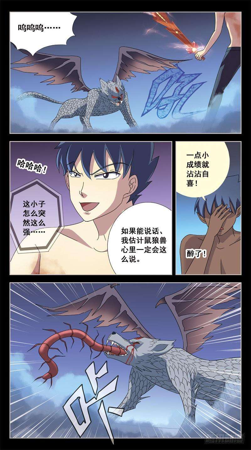 5.jpg