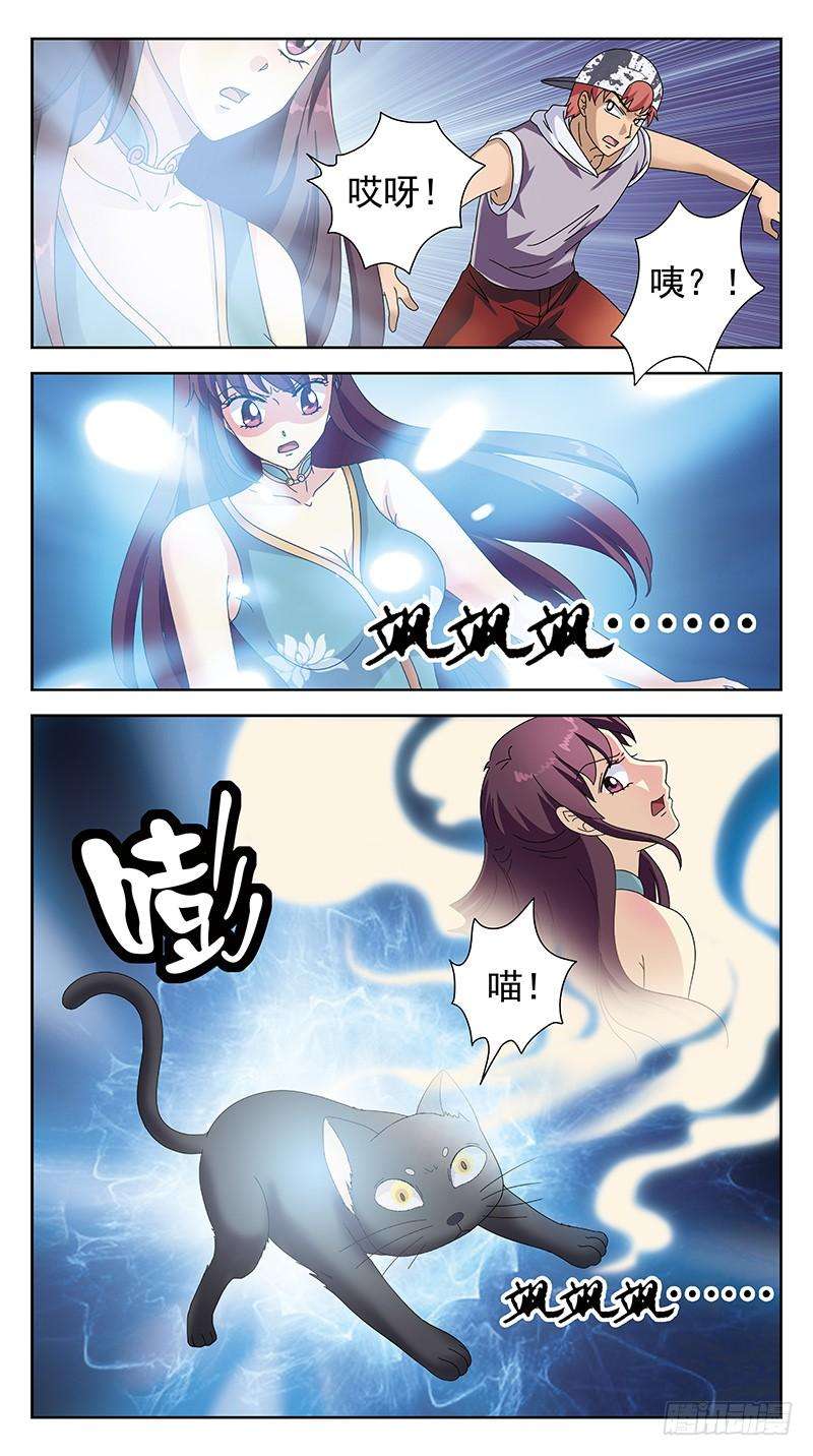 5.jpg
