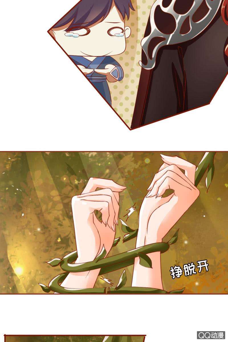 15.jpg