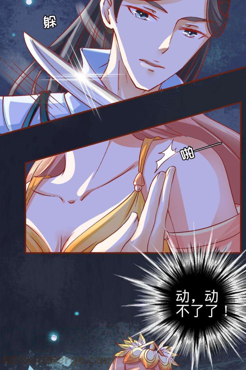 11.jpg