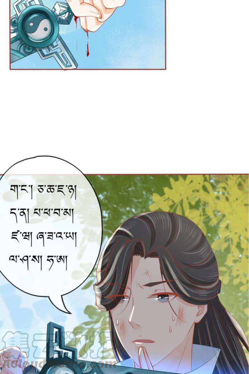 41.jpg