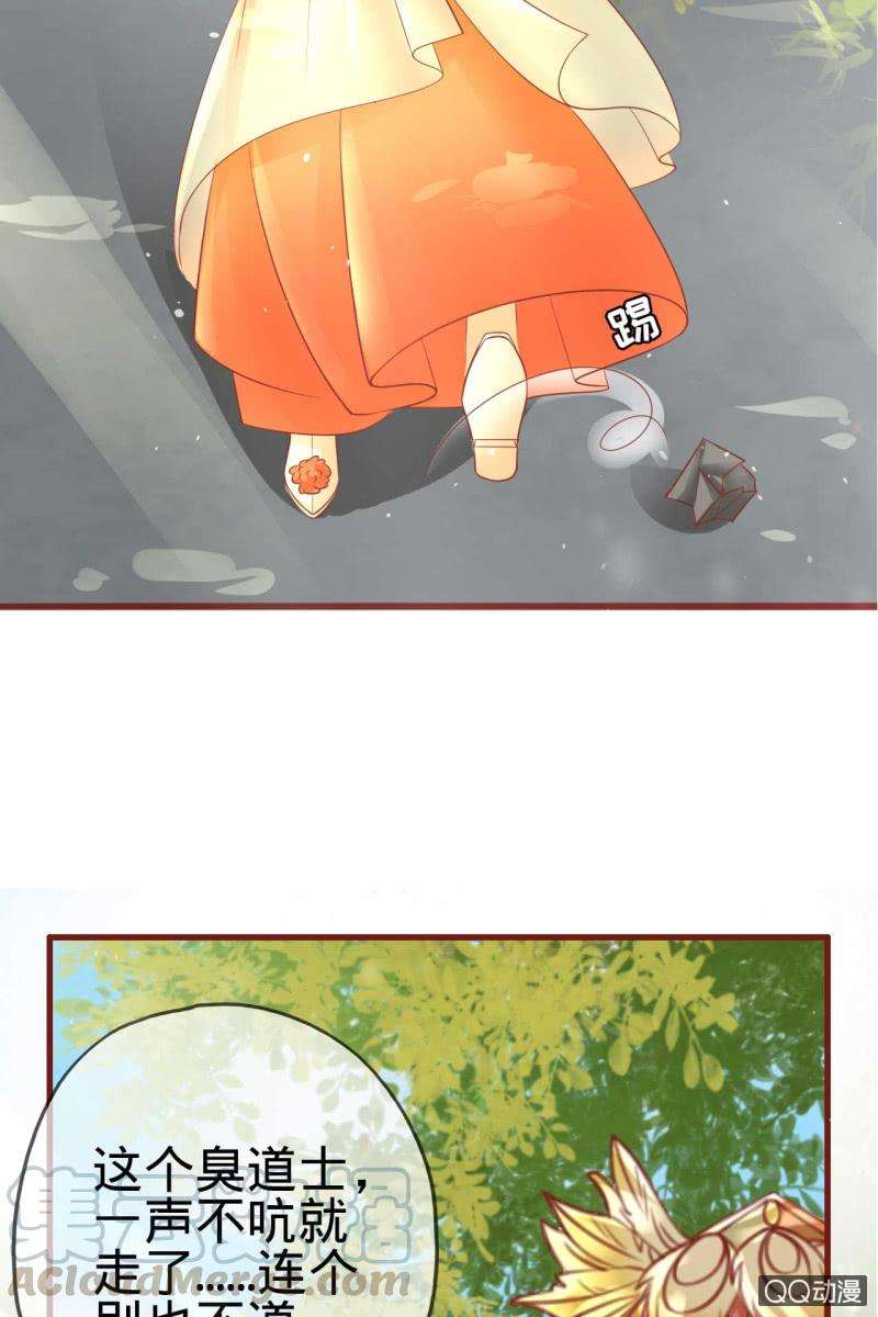 31.jpg