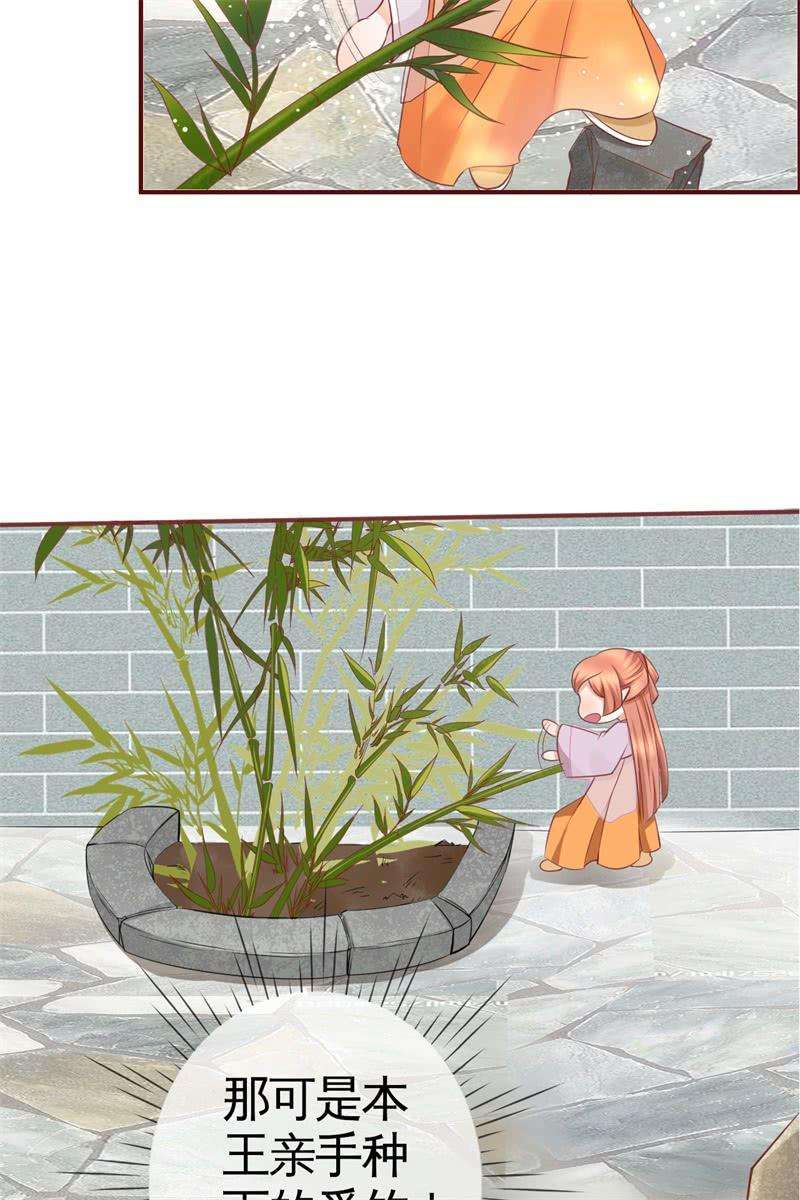 32.jpg