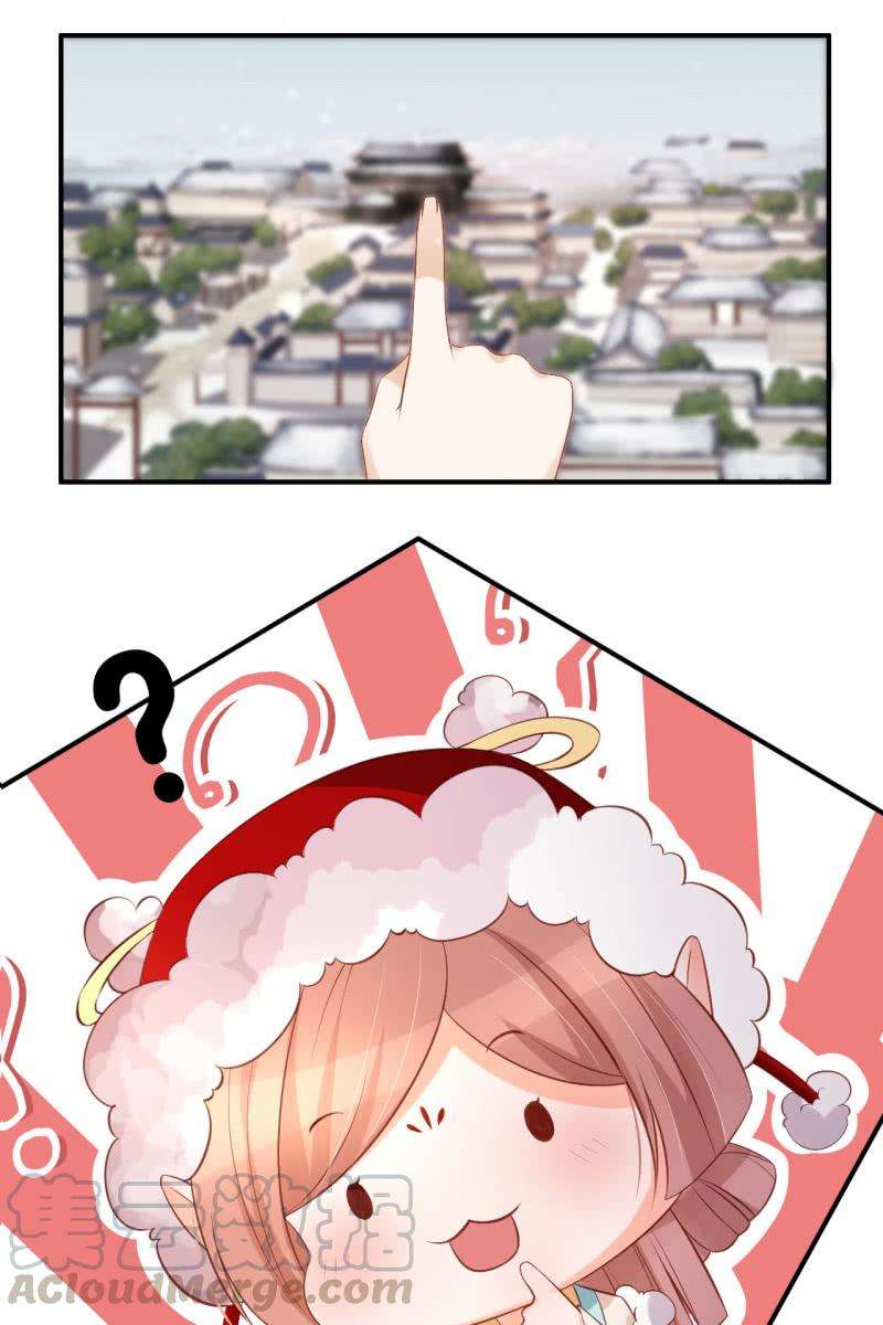 31.jpg