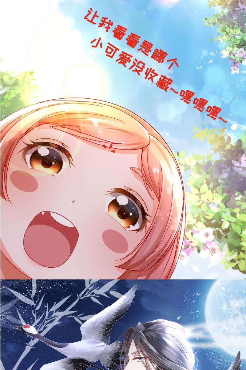 48.jpg