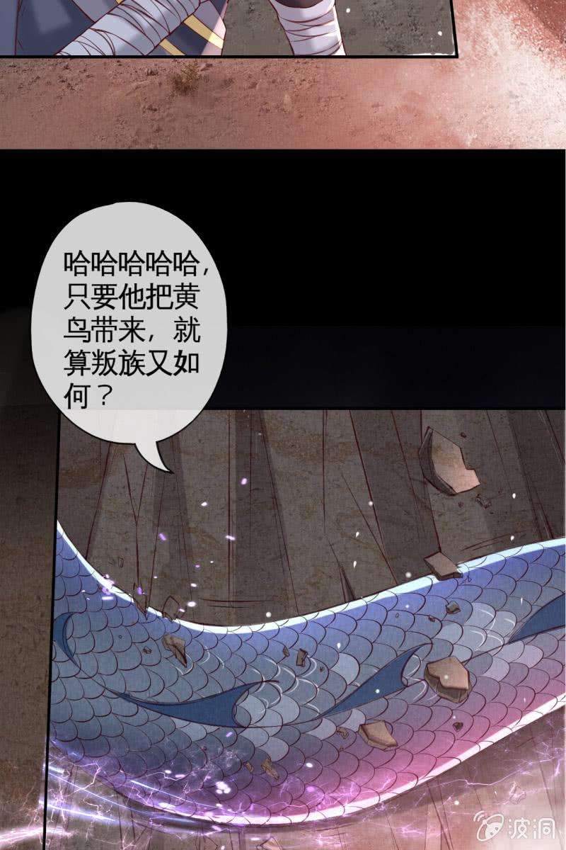 41.jpg