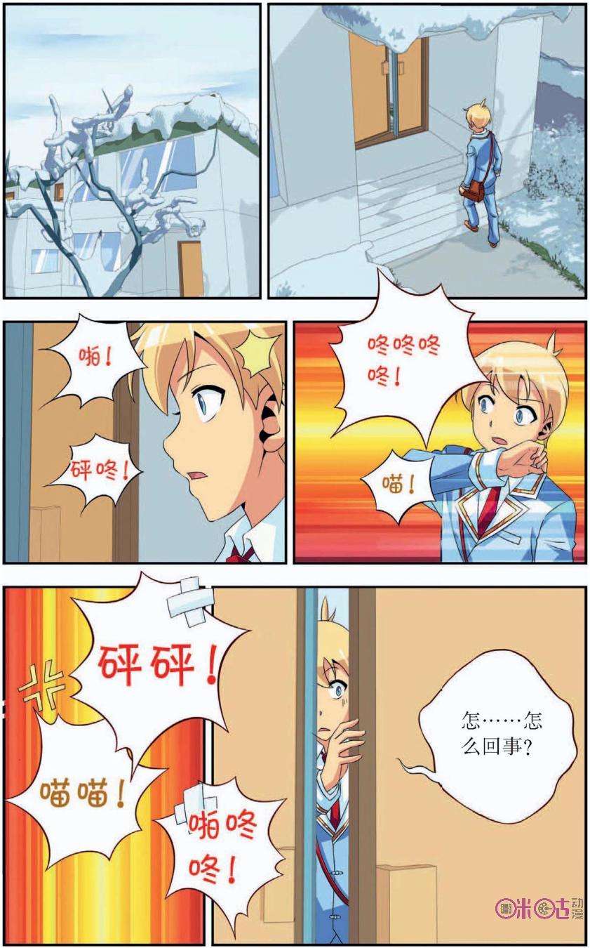 19.jpg