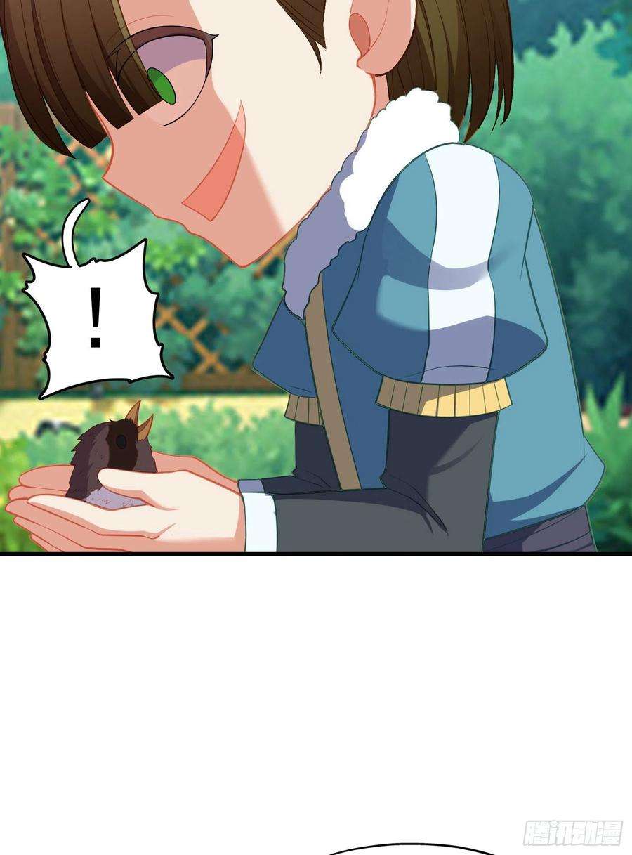27.jpg
