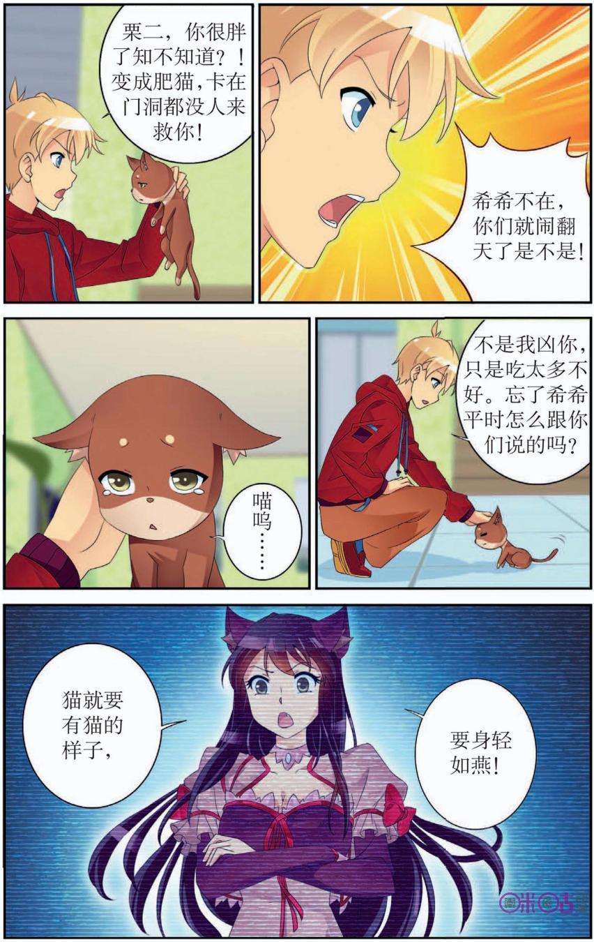 15.jpg