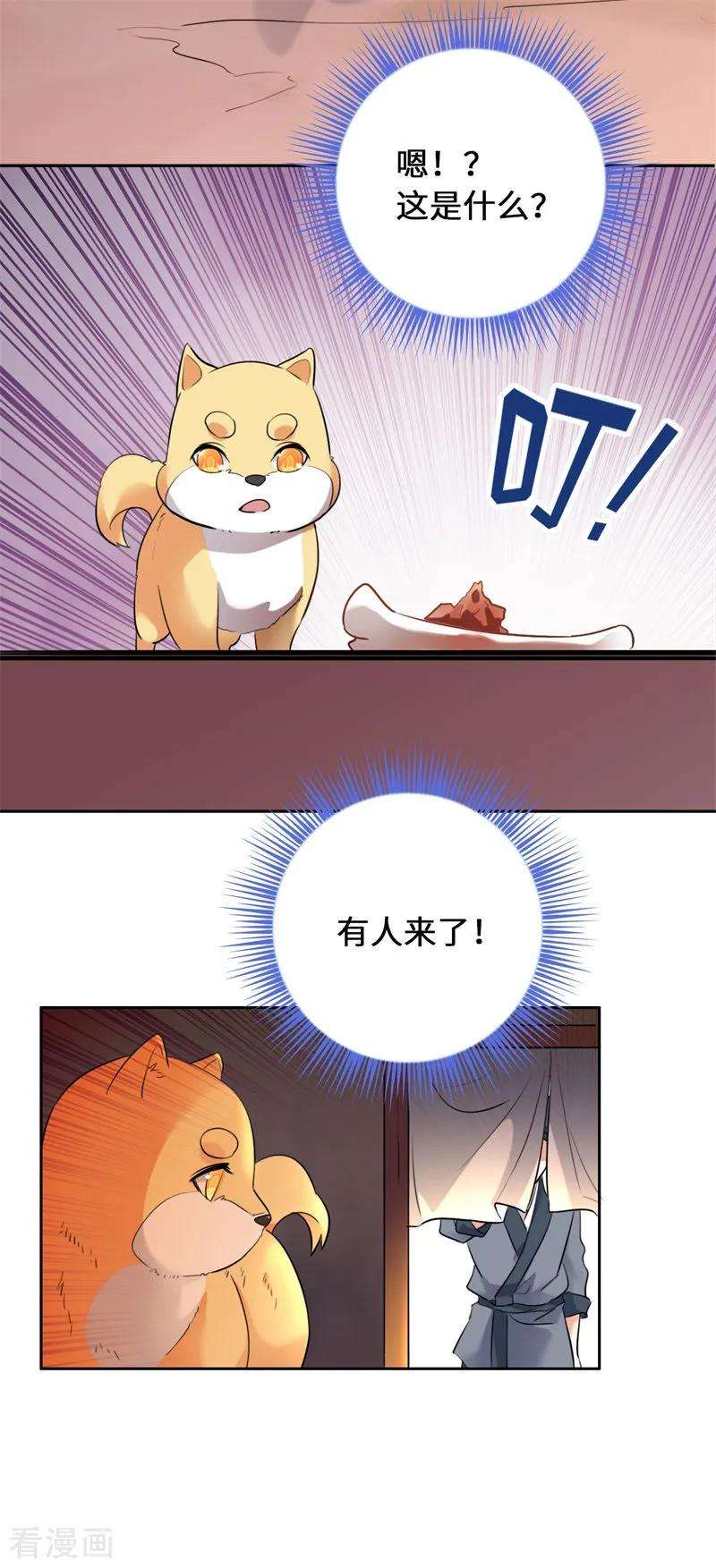 15.jpg