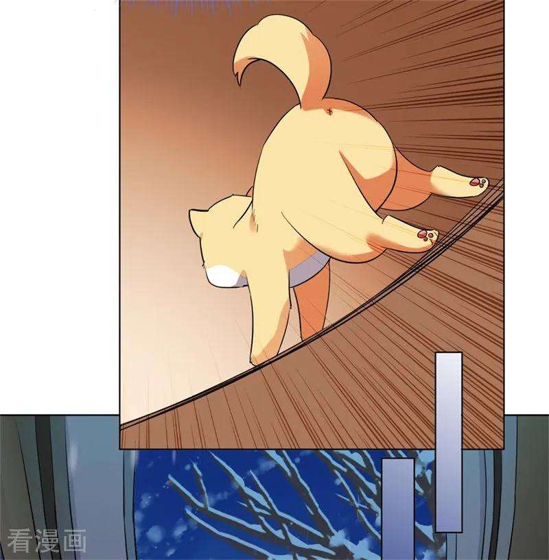 41.jpg