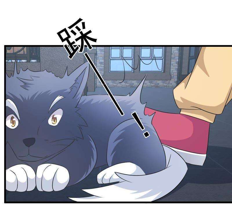53.jpg