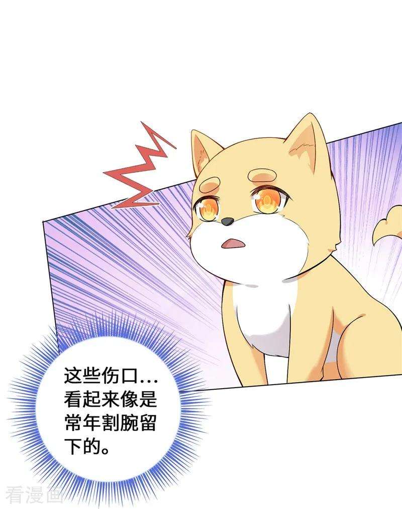 28.jpg