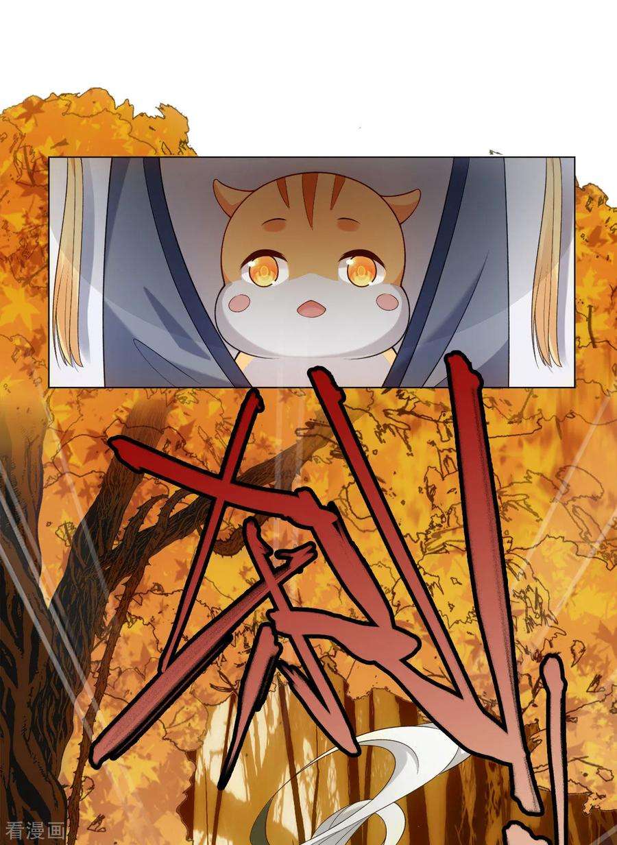 38.jpg