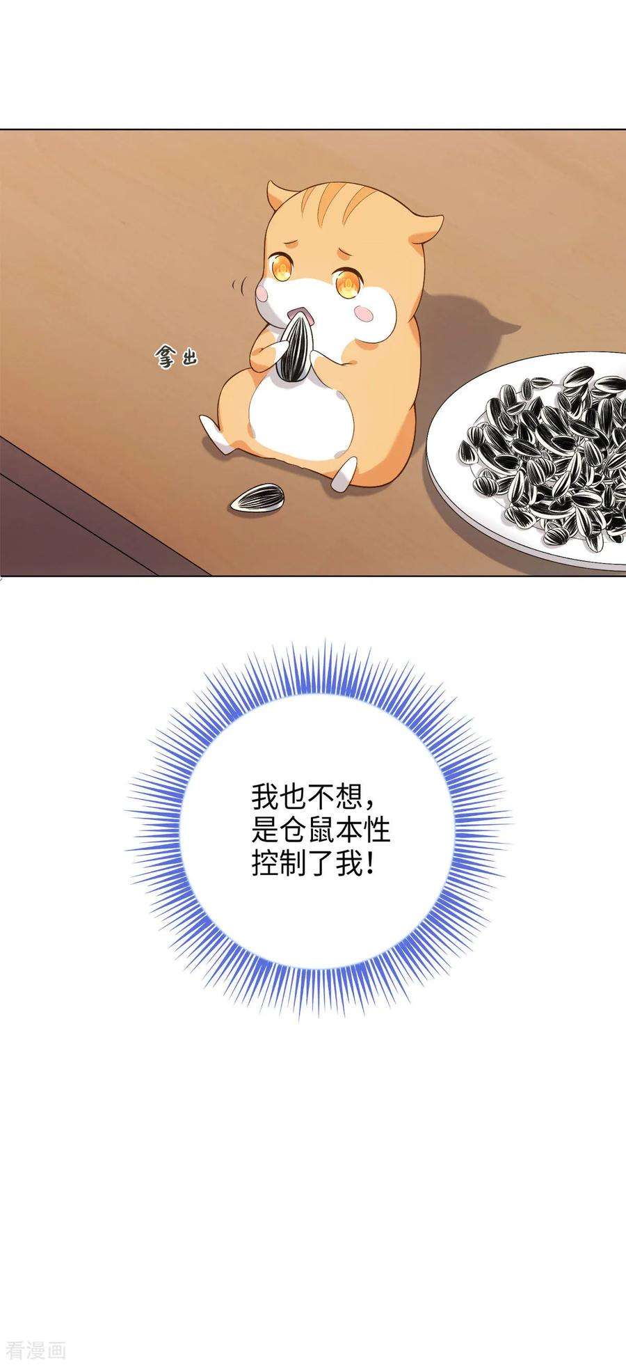 22.jpg