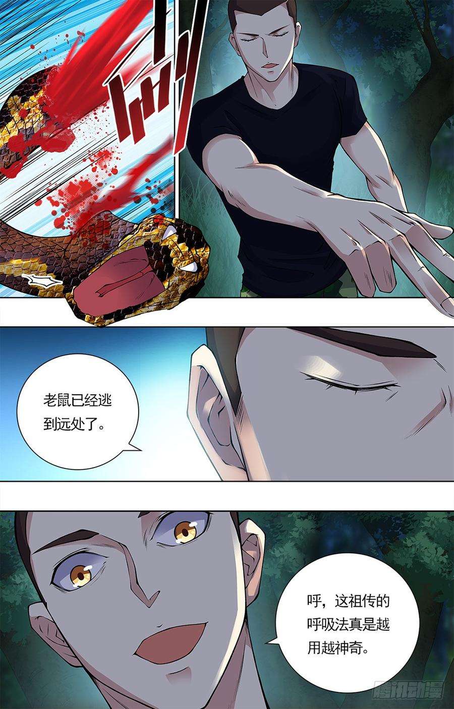 5.jpg