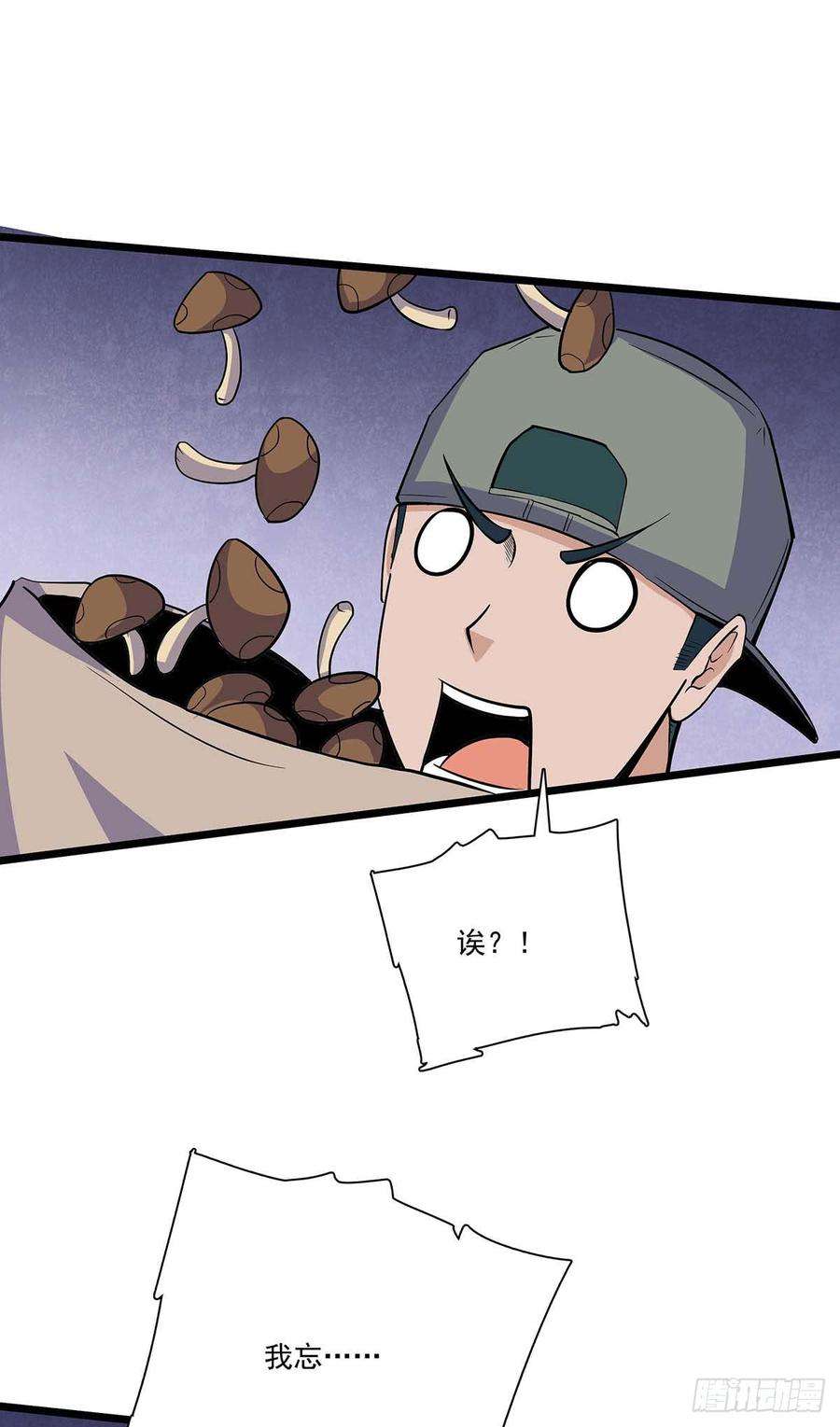 11.jpg