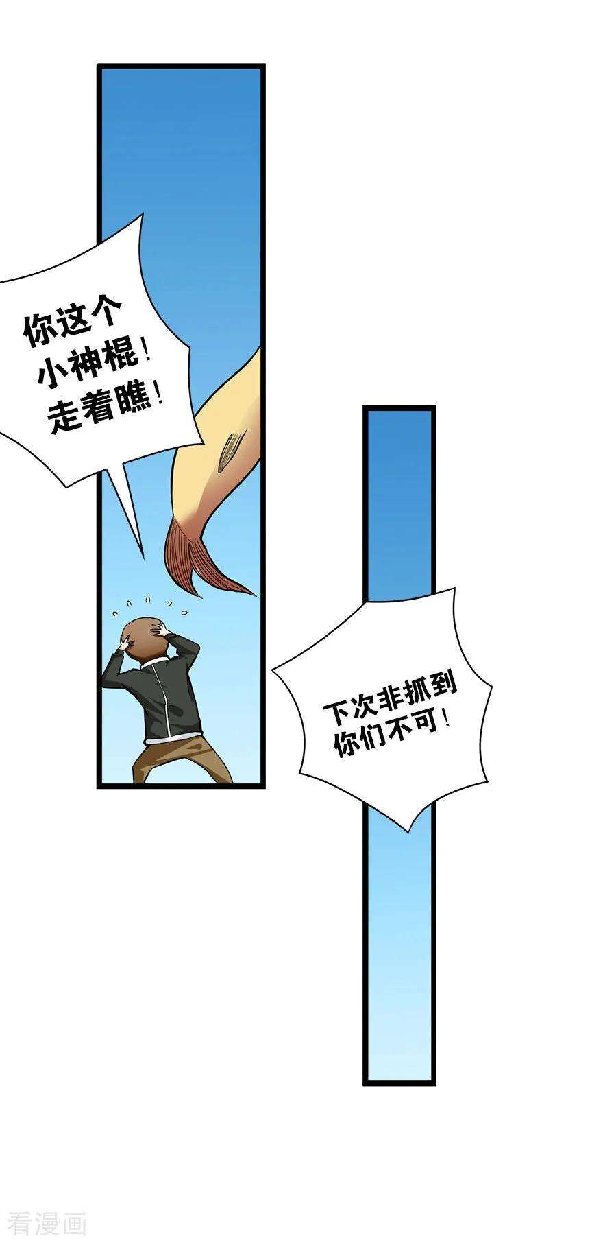 40.jpg
