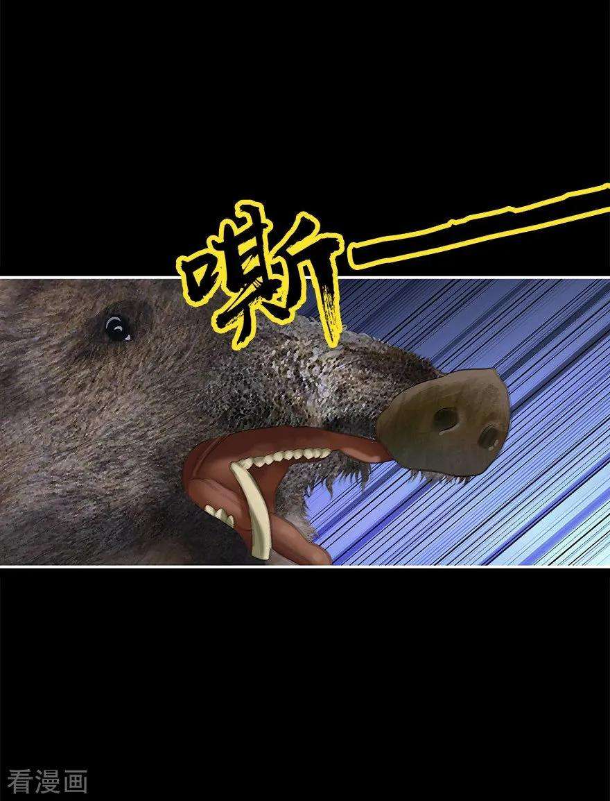 35.jpg