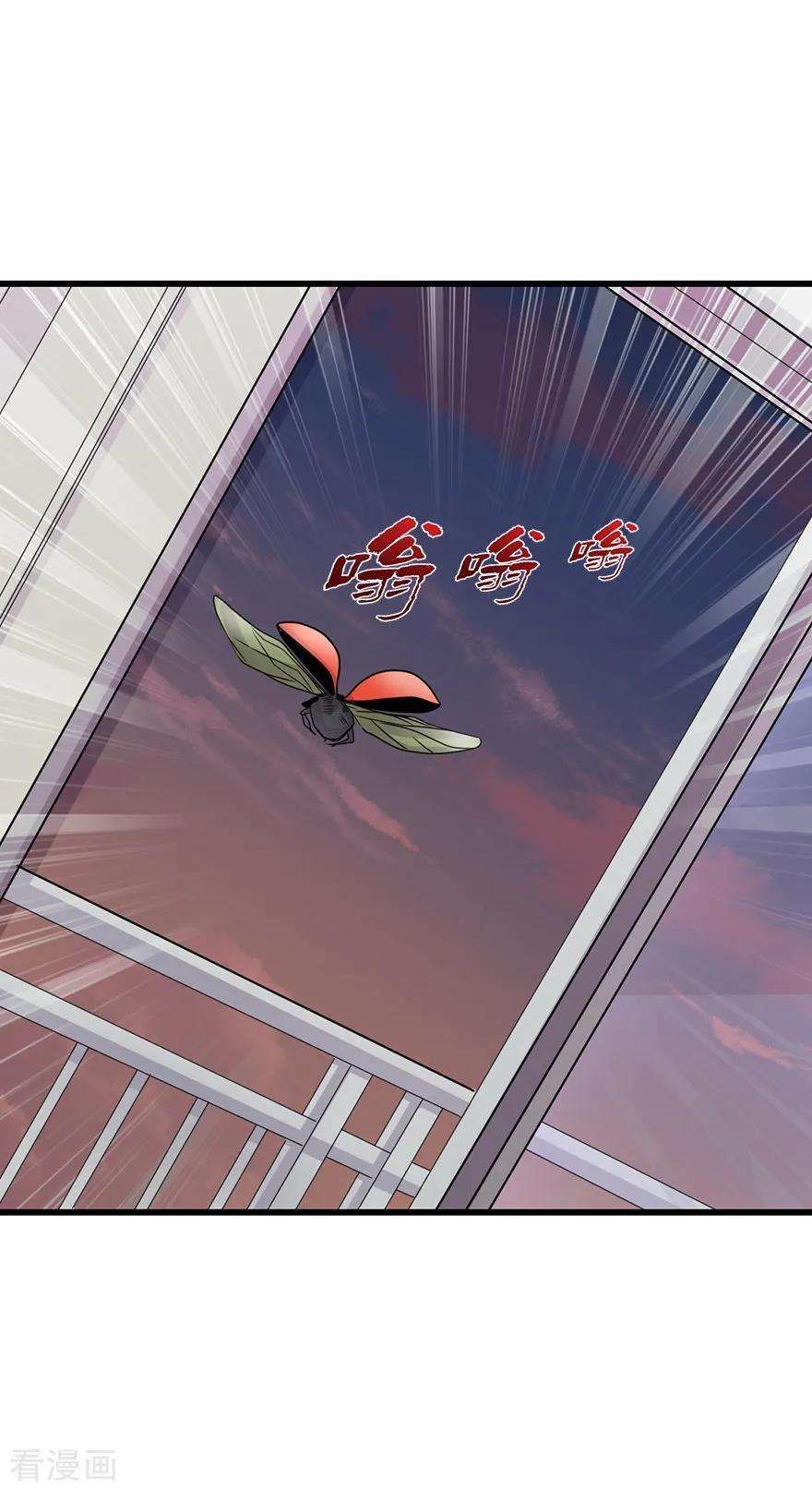23.jpg