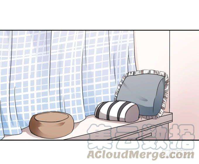 61.jpg