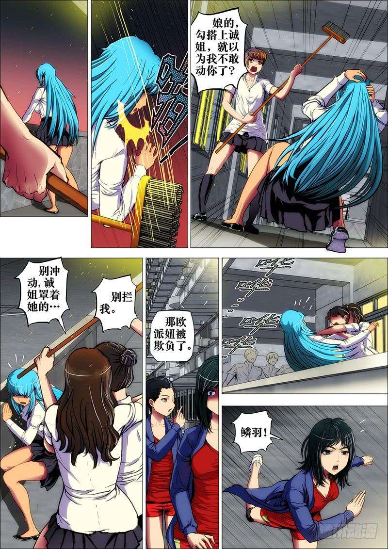 6.jpg