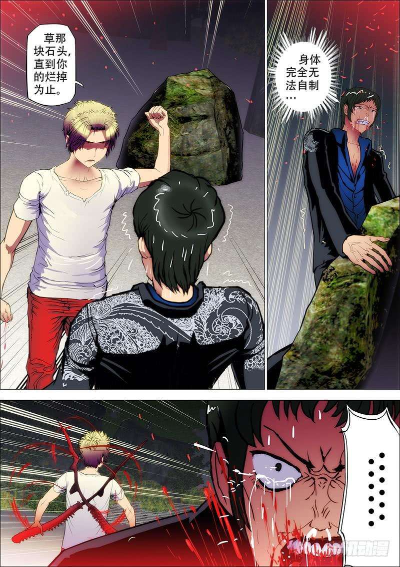 5.jpg