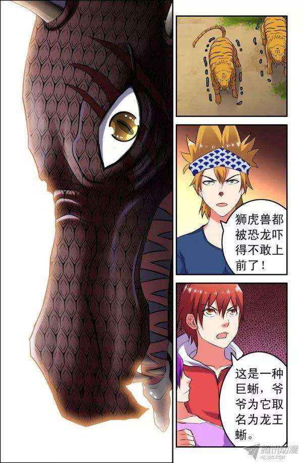 5.jpg