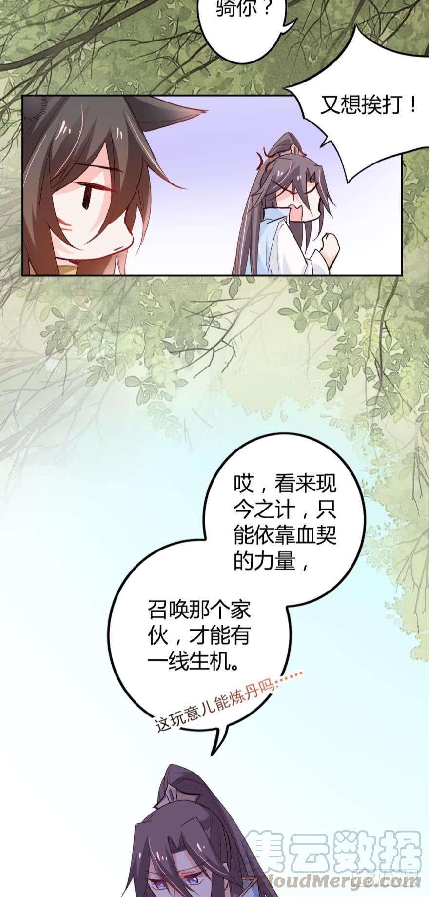 17.jpg