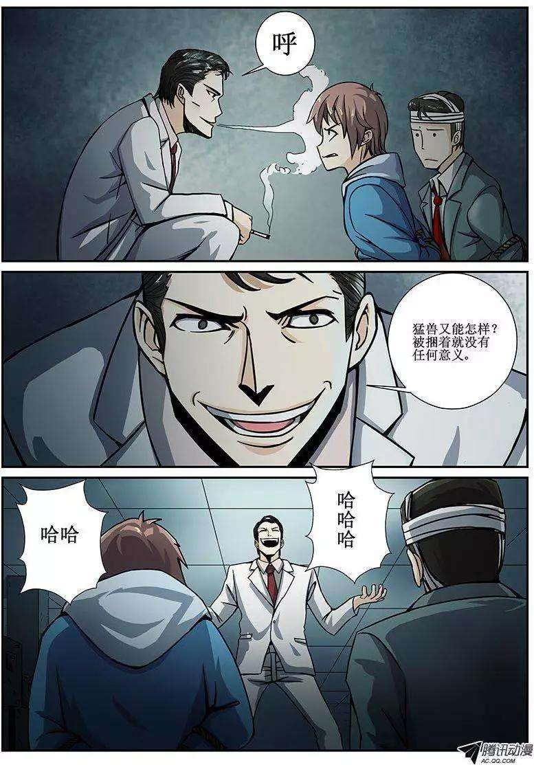 5.jpg